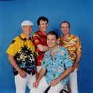 UK Beach Boys Tribute Band